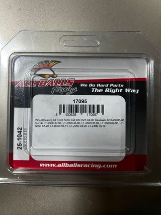 Kit reparación trapecios y basculante LTZ400