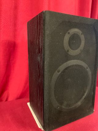 LOTE DOS ALTAVOCES PIONEER