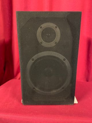 LOTE DOS ALTAVOCES PIONEER