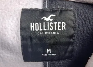 Sudadera Hollister bicolor