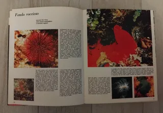 Libro Gli animali e l'ambiente.