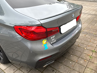 BMW Serie 5 2018