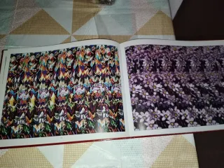 Libro el ojo mágico