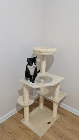 Torre Rascador para Gatos