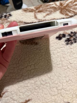 Nintendo DS