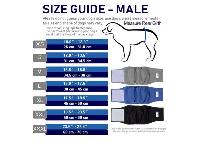 Pañales Perro Macho Lavables (3 uds)