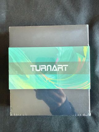 Set de dardos profesionales TURNART