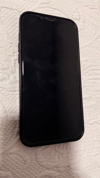 iPhone 12 Pro Max 512GB