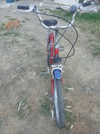 Bicicleta plegable roja y azul