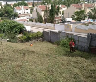 Limpieza económico casas terrenos parcelas