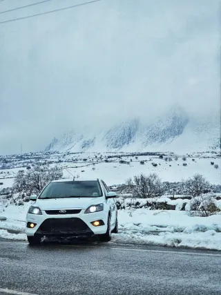 Paragolpes Ford Focus Latvala ST