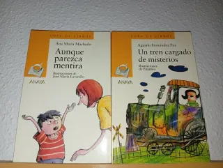 Lote 2 Libros Anaya