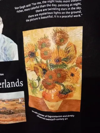 Felpa con stampa Van Gogh