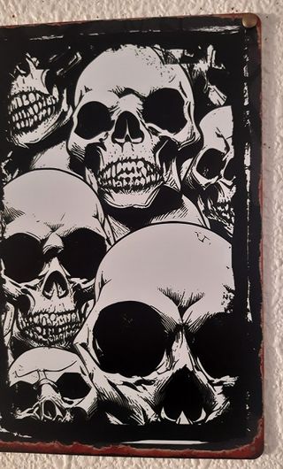 Póster Metal Calaveras