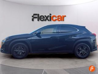 Lexus UX 2.0 250h Business