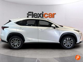 Lexus NX 2.5 300h Executive 4WD