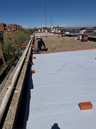 Lideres en reparaciones