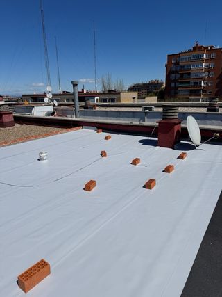 Lideres en reparaciones