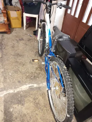 Bicicleta de montaña