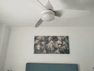 Cuadro Flores Almendros