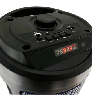 Cassa bluetooth karaoke Microfono Telecomando usb