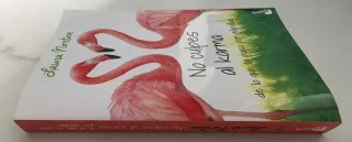 No culpes al karma de lo que te pasa por gilipolla