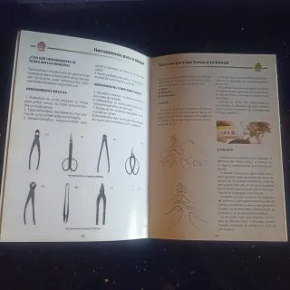 Libro Cuidados y consejos para su bonsái