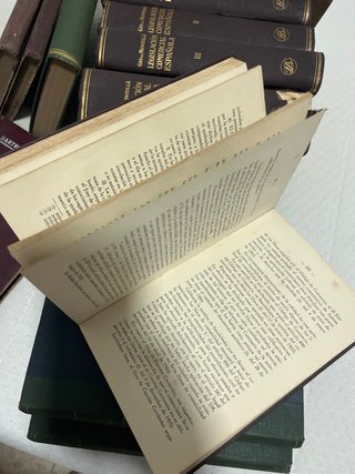 Lote de 13 libros antiguos. Lomo bonito. 1920-30