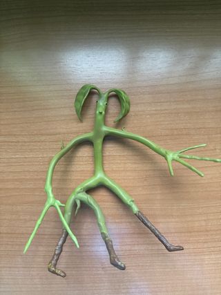 Muñeco de goma Pickett