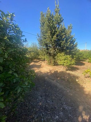 Terreno en venta en Coín
