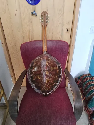 Mandolina cuerpo forma de tortuga