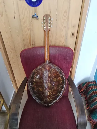 Mandolina cuerpo forma de tortuga