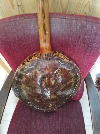 Mandolina cuerpo forma de tortuga