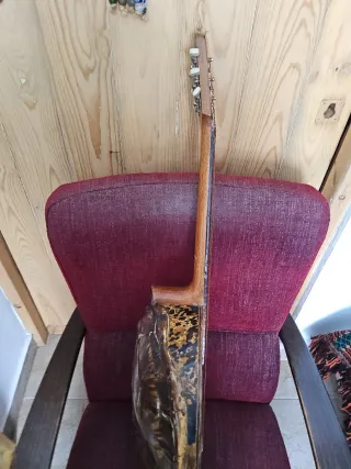 Mandolina cuerpo forma de tortuga