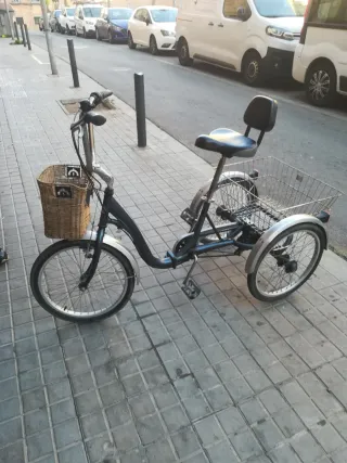 Triciclo Monty con cesta
