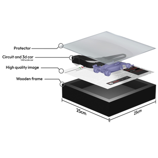 Cuadro F1 Charles Leclerc Monza 2024