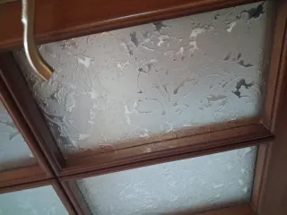 Puertas de madera con cristal. URGE