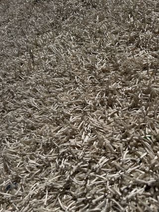 Alfombra pelo NEVADA fabricada en Bélgica