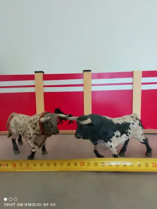 Toriles Corrales Meskebous