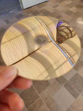 Lote Juegos Xbox One: Sonic, GTA V, Need for Speed