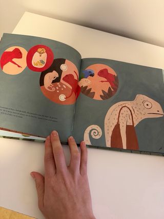 Set 4 libros infantiles catalán