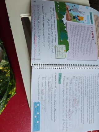 QUADERN CLAUS DE LLENGUA SERIE ENTRENAT 6 PRIMARIA