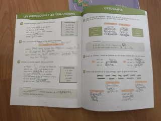 Pont Matemàtiques 6è primària i de llengua