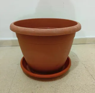Maceta marrón con plato