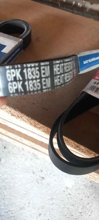 Correas de motor nuevas (Gates, Continental)