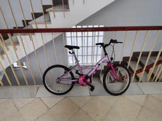 Bicicleta infantil morada