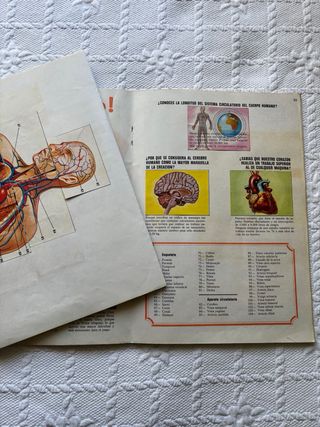 Álbum El Porqué de las Cosas nº 3 Bimbo