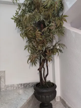 Planta Artificial Decorativa