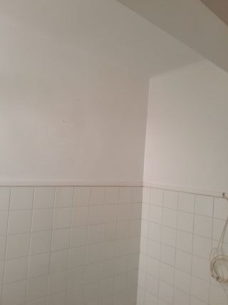 Pintor 120 € dia