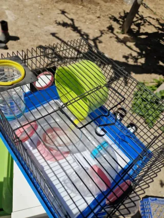 Jaula para hámster con accesorios